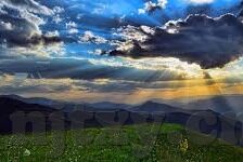 2015最新福利伦理-2015年最新福利政策与伦理的和谐共舞