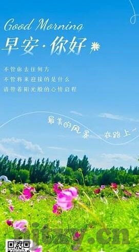 果冻传媒视频观看免费-探索网络视频的多元体验，果冻传媒视频的免费观看之旅