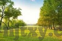 九七伦理-九七伦理，在历史与现代性交汇处的道德探索