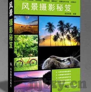 麻豆app破解版老司机-麻豆app，破解版的诱惑与灰色地带
