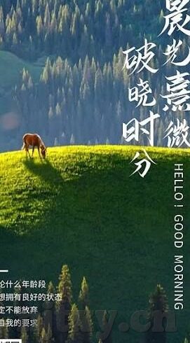 麻豆日记app兑换码-麻豆日记app，解锁生活便捷的兑换秘籍