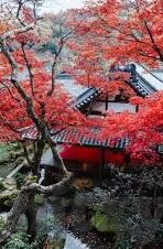 麻豆映画传媒入口-可以是，多角度聚焦，麻豆映画传媒的多元魅力和新潮趋势探索，以飨热爱文化的你我