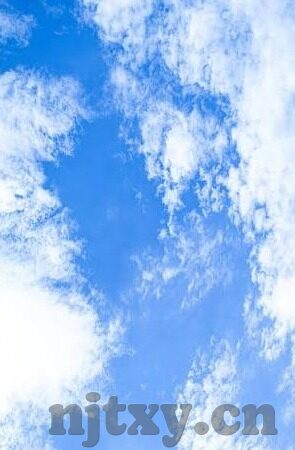 人妻无码v区二区三区-人妻无码v区二区三区，网络世界的迷思与现实