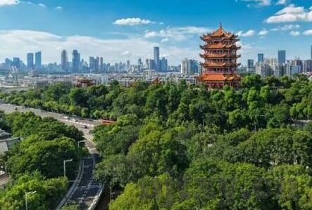 糖心视频app下载汅ap-探索轻松娱乐，增强内容共享，科学使用视频软件优化智能生活