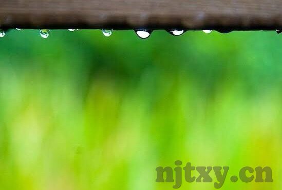 糖心直播app苹果下载-一键解锁，糖心直播——苹果用户的精彩娱乐新选择