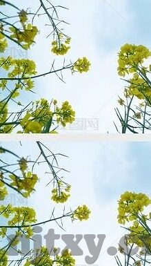 小明成人永久免费视频吧-探索网络世界的多元视角，小明成人永久免费视频吧的启示
